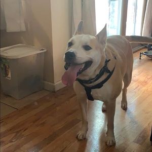 Meet your Posher, Patricia